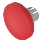 Imagen ampliada de EAO 61-9593.2