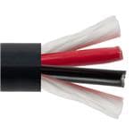 Imagen ampliada de Transtector BPCTC142