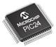 Microchip Technology PIC24F16KA302-I/SP